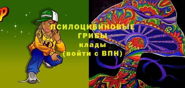 Альфа ПВП Абаза