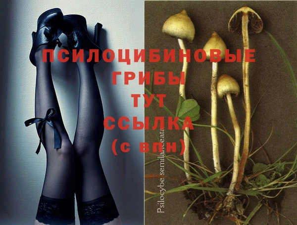 молекула духа Абдулино